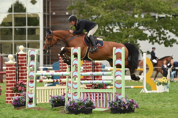 Talent on a Heartstring in the Red Horse Equestrian National 5YO Championship Final